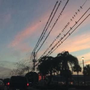 Meet your Posher, Imaria